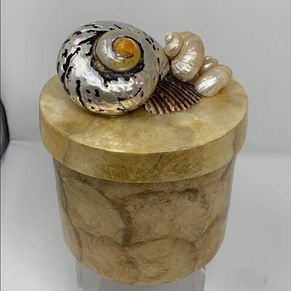 Capiz Shell Cylindar Box w/ Top w/ Large Shells - Picture 2 of 7